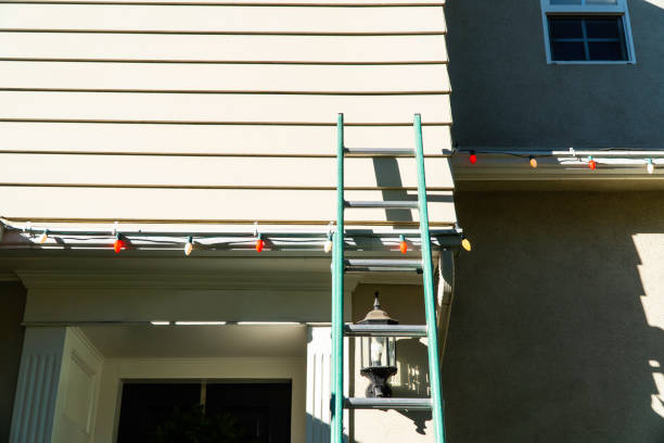 Best Composite Siding  in Collinsville, AL