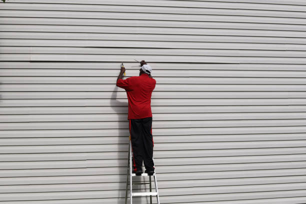 Best Historical Building Siding Restoration  in Collinsville, AL
