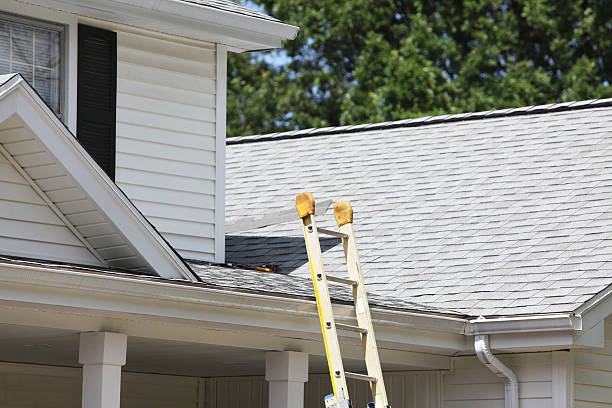 Best Stone Veneer Siding  in Collinsville, AL